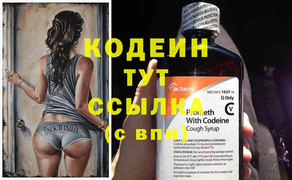 кокс Касимов