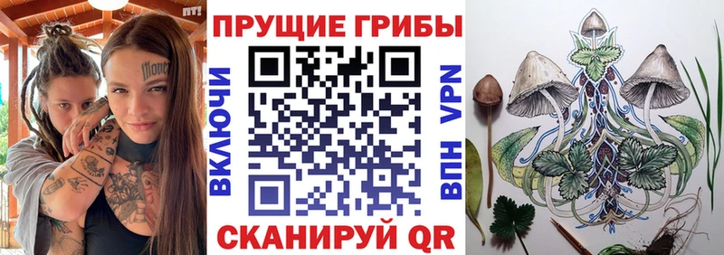 Галлюциногенные грибы Cubensis  Мышкин 